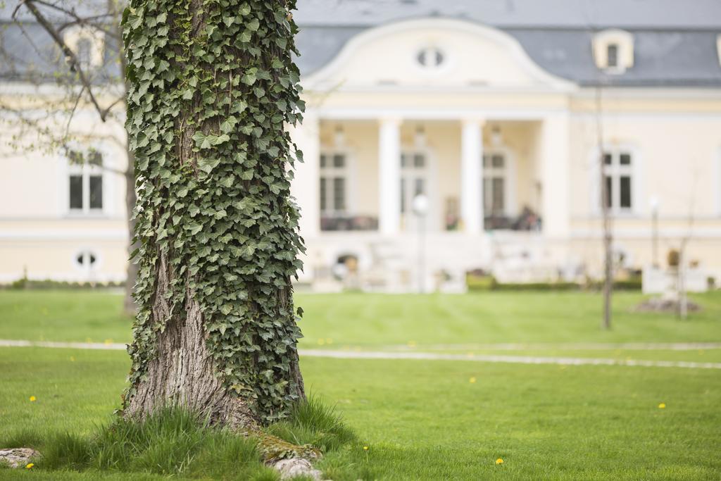 Amade Chateau Vrakúň Esterno foto