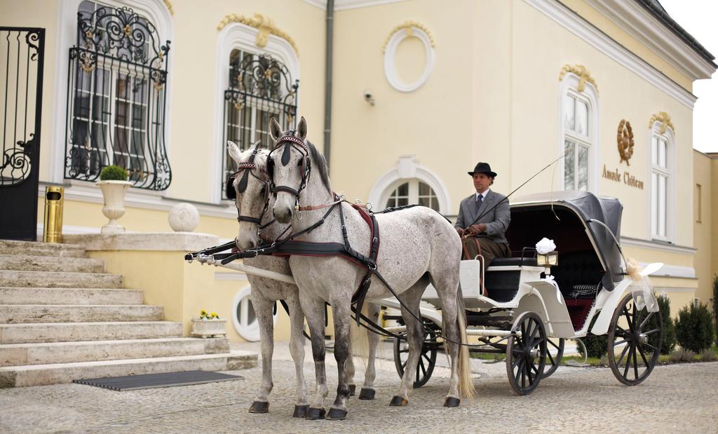 Amade Chateau Vrakúň Esterno foto